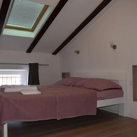 Kamelija * بونات