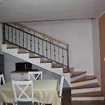 Kamelija * Punat
