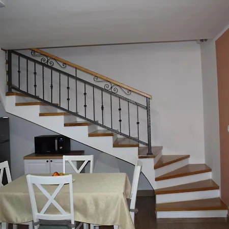 Kamelija * Punat